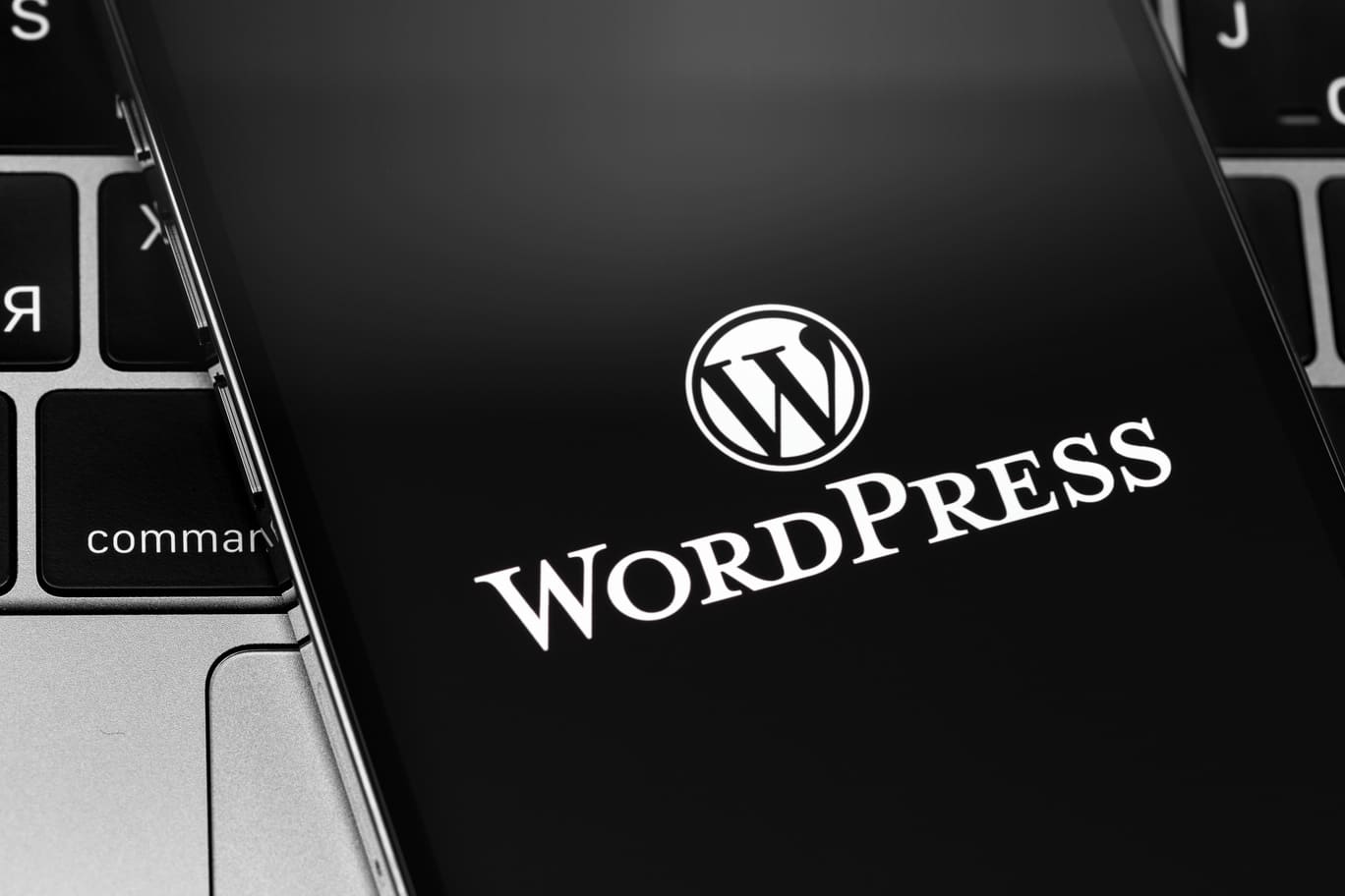 Mes 3 thèmes WordPress rapides et gratuits de prédilection